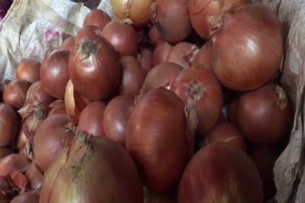 Ссылка кракен kraken onion onion top